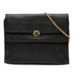 Dior Leather Chain Crossbody