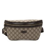 Gucci  GG Supreme Belt Bag Ladies 233269 520981