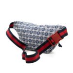 Gucci  Kids GG Canvas Stars Web Belt Bag - Image 3
