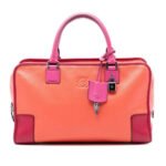 Loewe  Tricolor Goatskin Amazona 36 Ladies GLCN979Y4KL4ND2O
