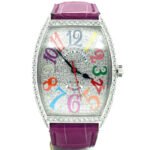 Franck Muller Color Dreams Automatic Diamond Men's Watch